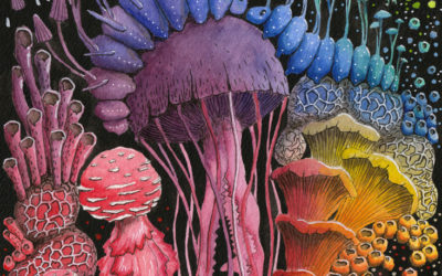 Stéphanie Kilgast “composition champignons méduses” (aquarelle et gouache sur papier)