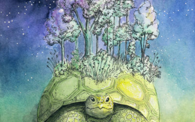 Stéphanie Kilgast “Tranquille (tortue)” (aquarelle et gouache sur papier)