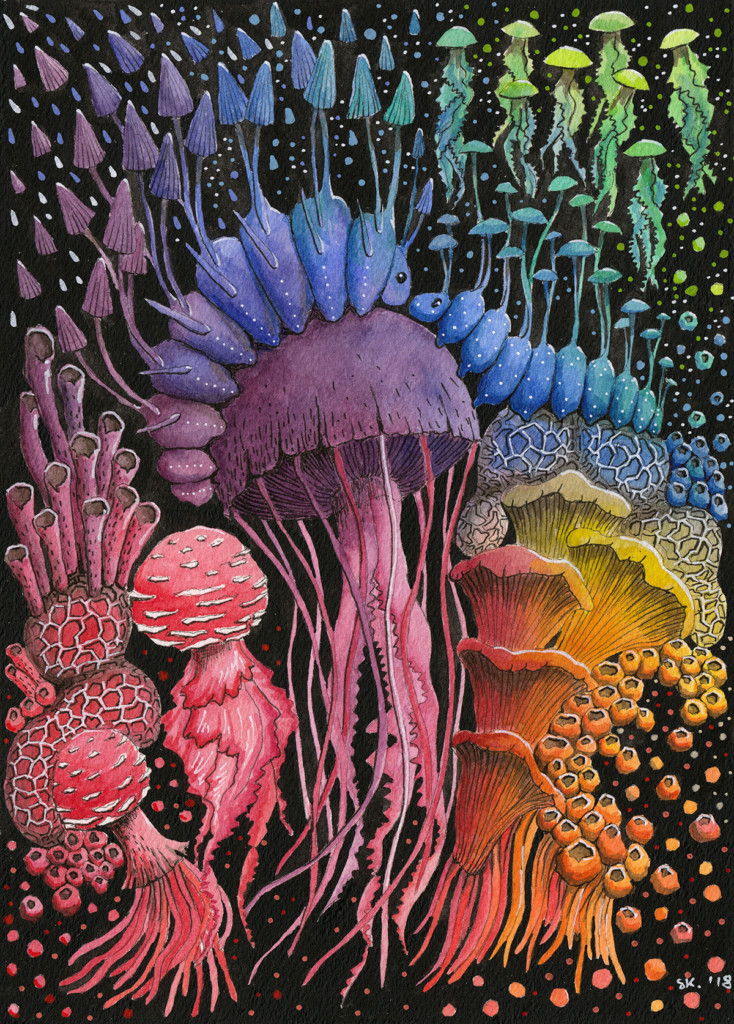 Stéphanie Kilgast “composition champignons méduses” (aquarelle et gouache sur papier)